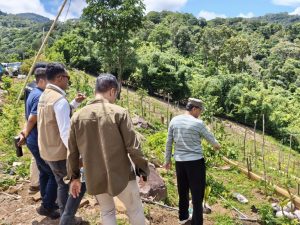 Menanam Masa Depan: Bupati Sumbawa Dorong Batudulang Jadi Sentra Arabika dan Ekowisata