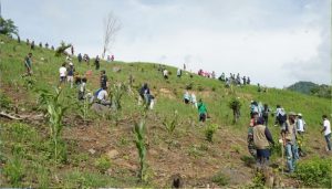 Jaga Hutan dari Hulu, Safari Menanam Bupati Sumbawa Bergerak di Lenangguar