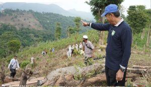 Awali Tahun 2026, Pemkab Sumbawa Mantapkan Komitmen Lingkungan Lewat Safari Menanam di Batu Dulang