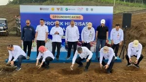 Pemerintah Dorong Hilirisasi Ayam Terintegrasi di Enam Daerah, Perkuat Swasembada Protein Nasional