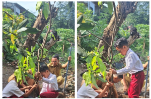 Sekolah Rasa Taman! SDN 14 Sumbawa Sulap Lingkungan Jadi Hijau dan Edukatif Lewat “Kebun Lestari Ilmu”