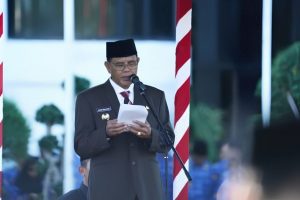 Bupati Sumbawa Tegaskan Tak Ada Larangan Tanam Jagung, Yang Dilarang Hanya di Kawasan Hutan dan Tanah Negara